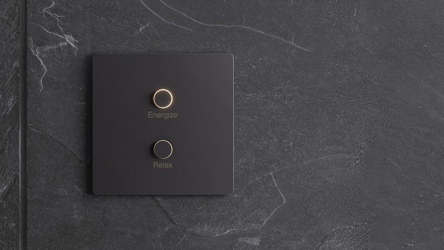 Lutron HomeWorks system in a custom home